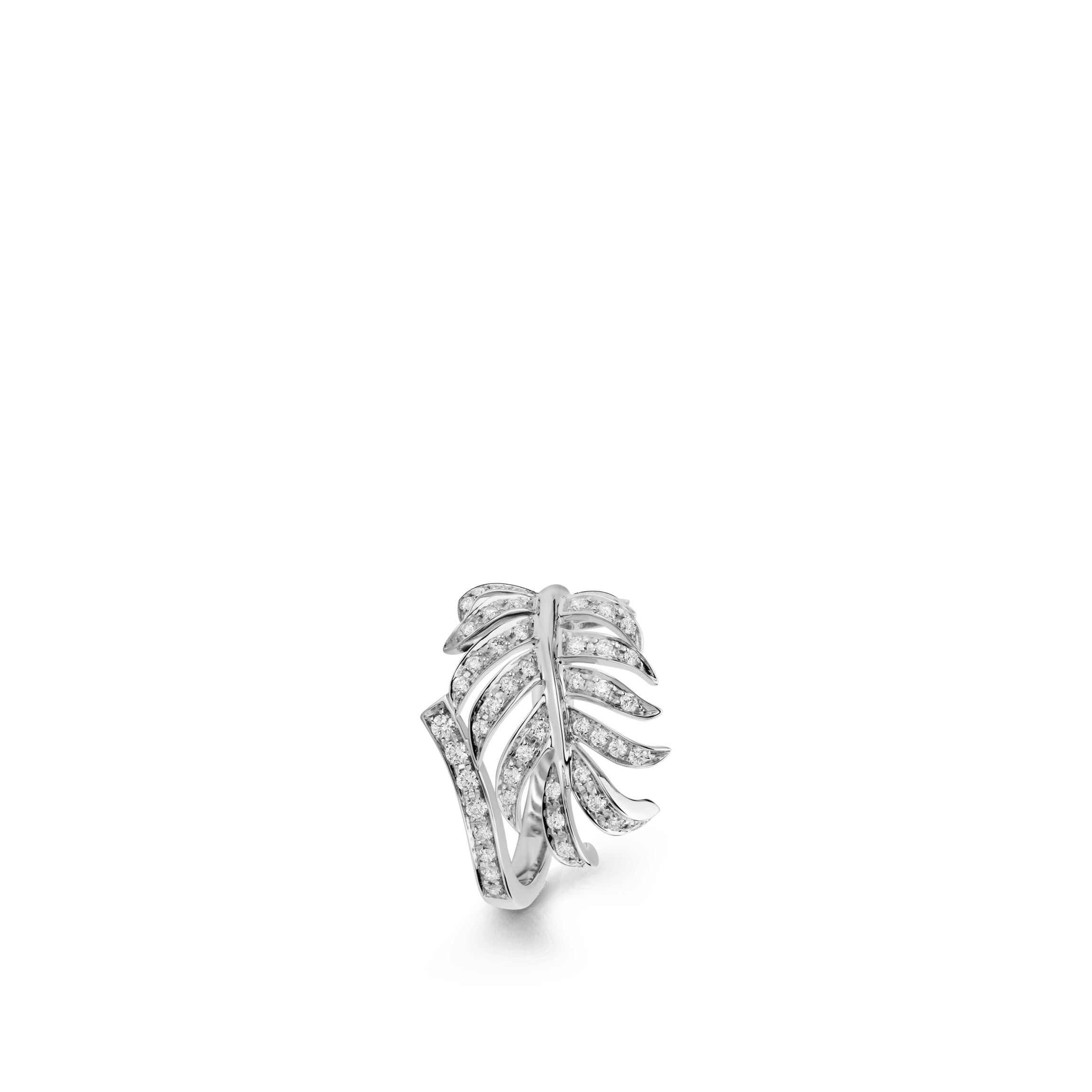 Plume de CHANEL ring - 1