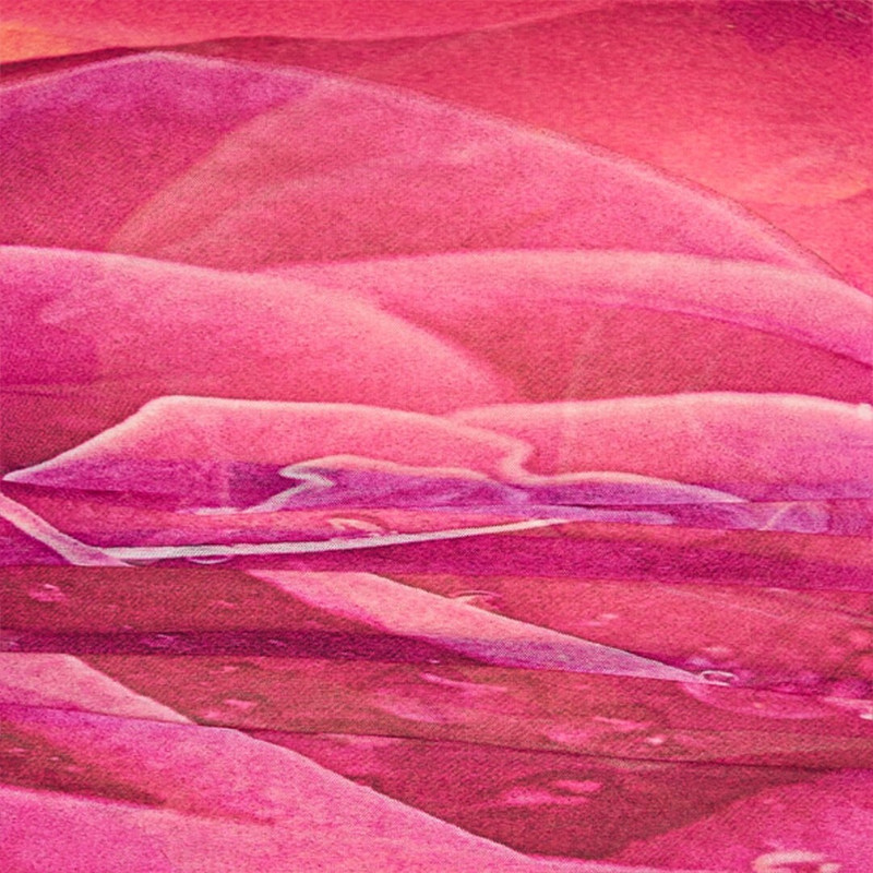 Sheath Dress With Rose Print 5