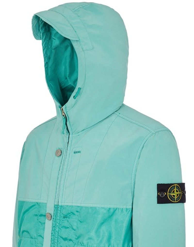 42732 POLYESTER TELA WITH DAVID LIGHT-TC LIGHT GREEN 4