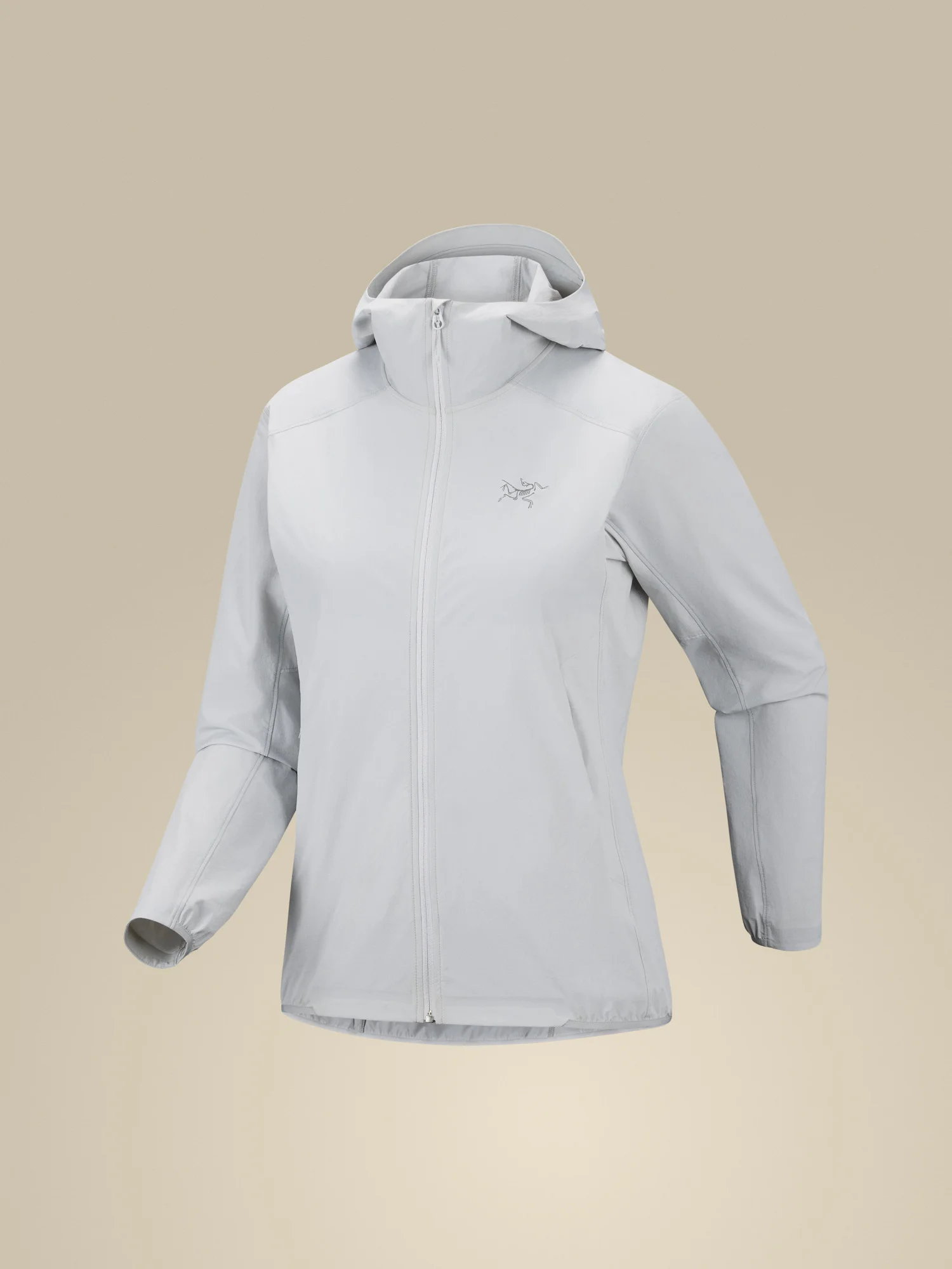 Gamma Lightweight Hoody - 1