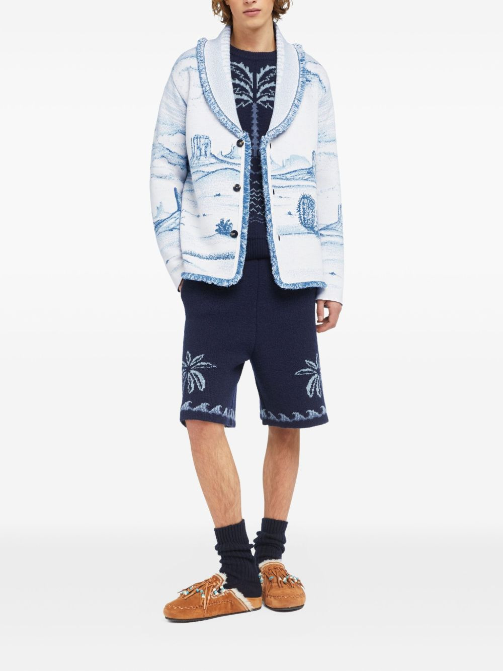 Silent Rider landscape-intarsia fringed cardigan - 2