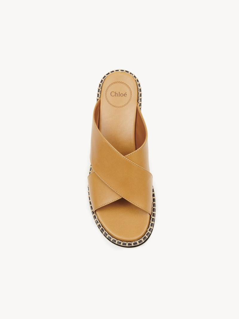 LAIA PLATFORM MULE 2