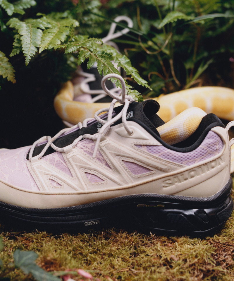 SALOMON XT-6 EXPANSE LTR BONE SODA outlook