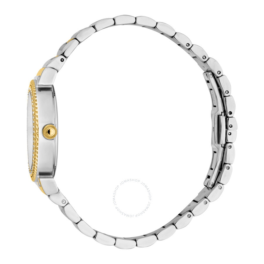 Roberto Cavalli Glam Silver-tone Dial Ladies Watch RC5L039M1085 - 3