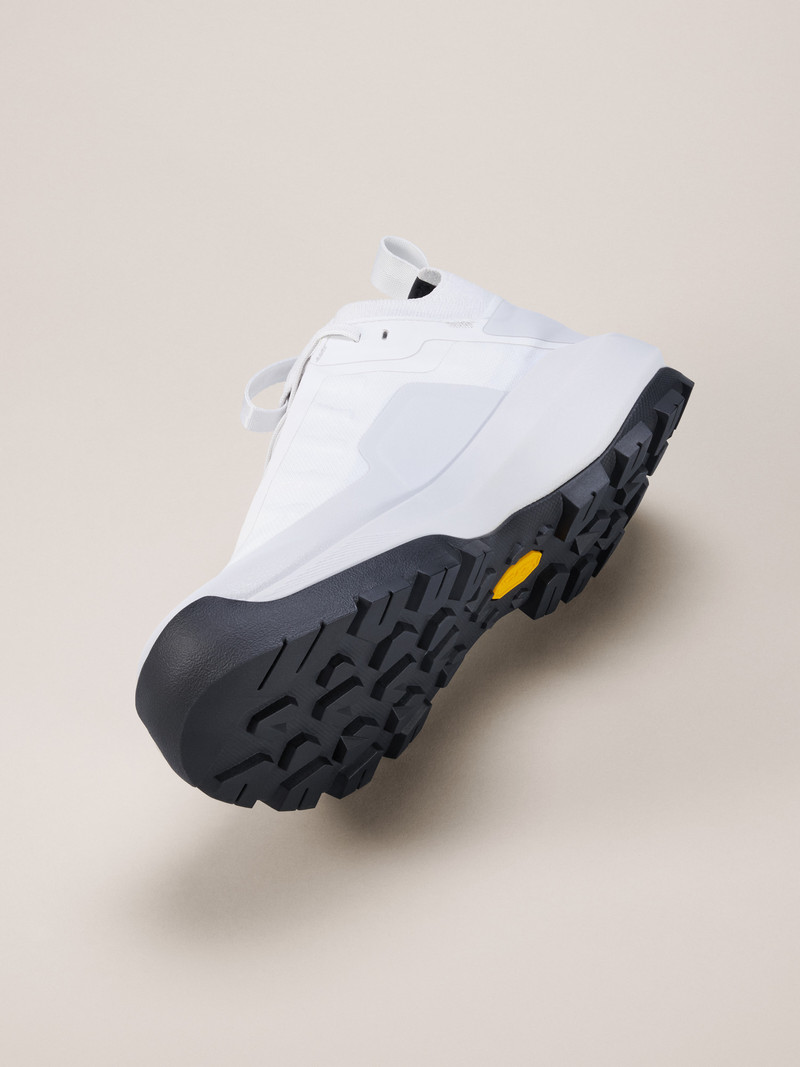 Vertex Alpine GTX Shoe 5