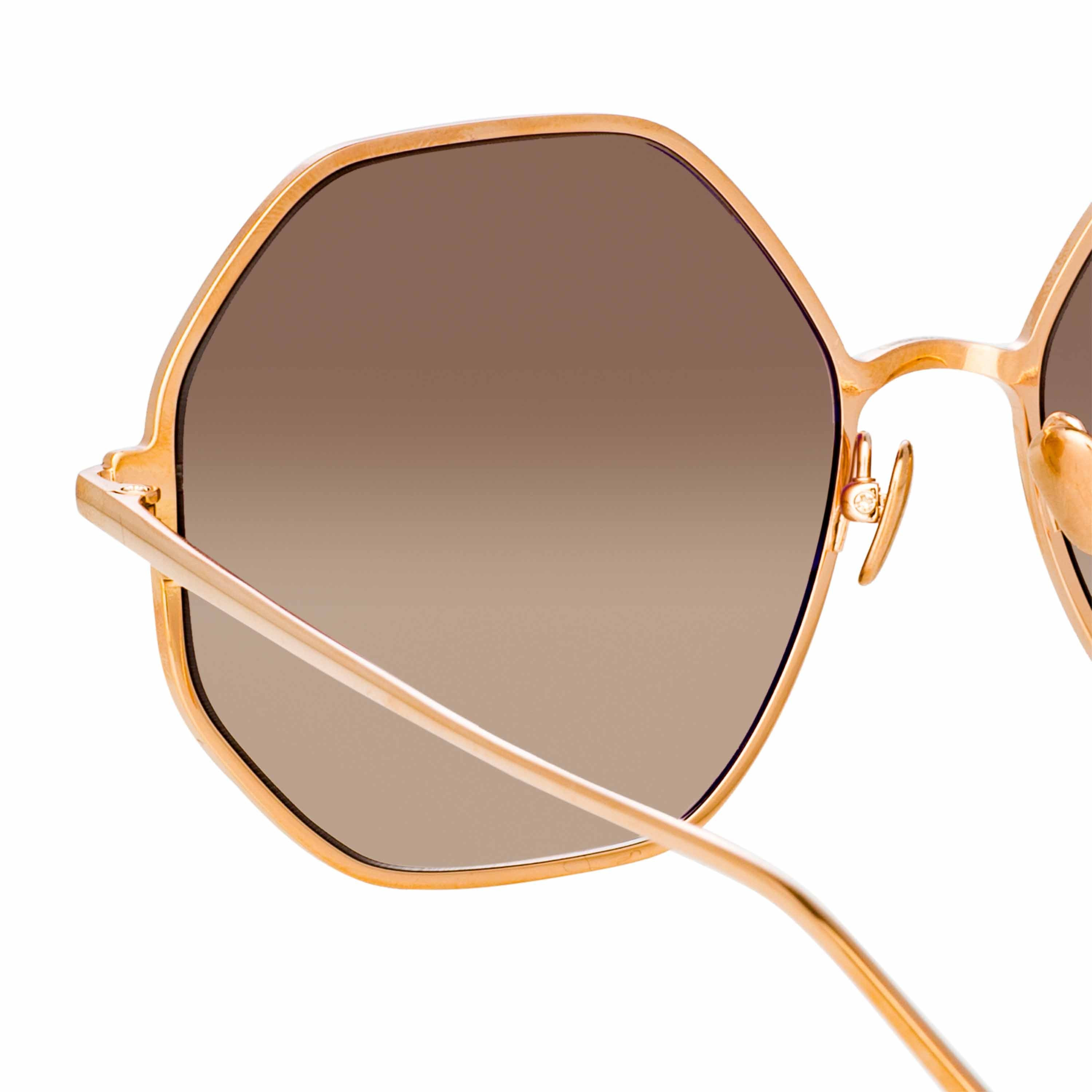 LEIF OVERSIZED SUNGLASSES IN ROSE GOLD AND BROWN - 5
