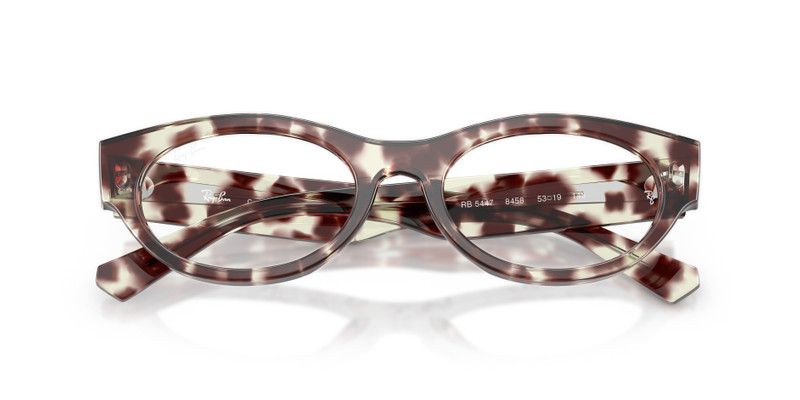 Ray-Ban RB5447 OPTICS outlook
