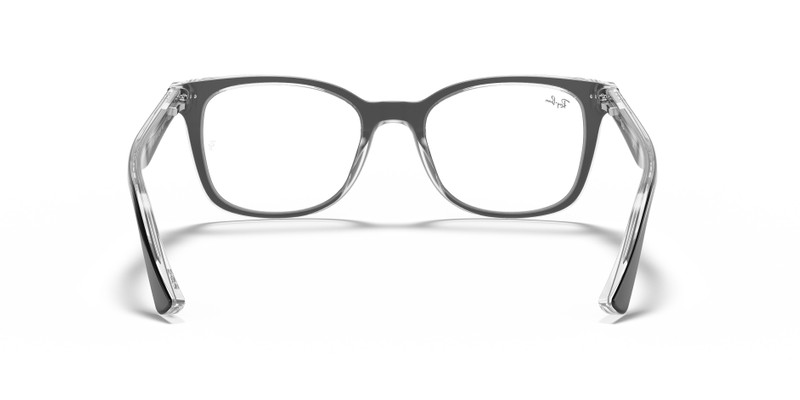 RB5285 OPTICS 6