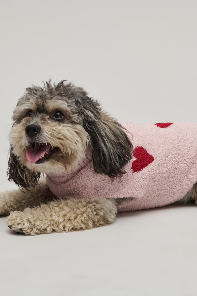 Barefoot Dreams CozyChic® Heart Print Pet Sweater outlook