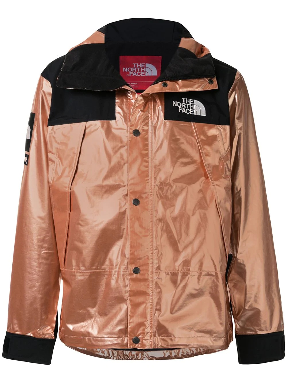 tnf metallic mountain parka - 1