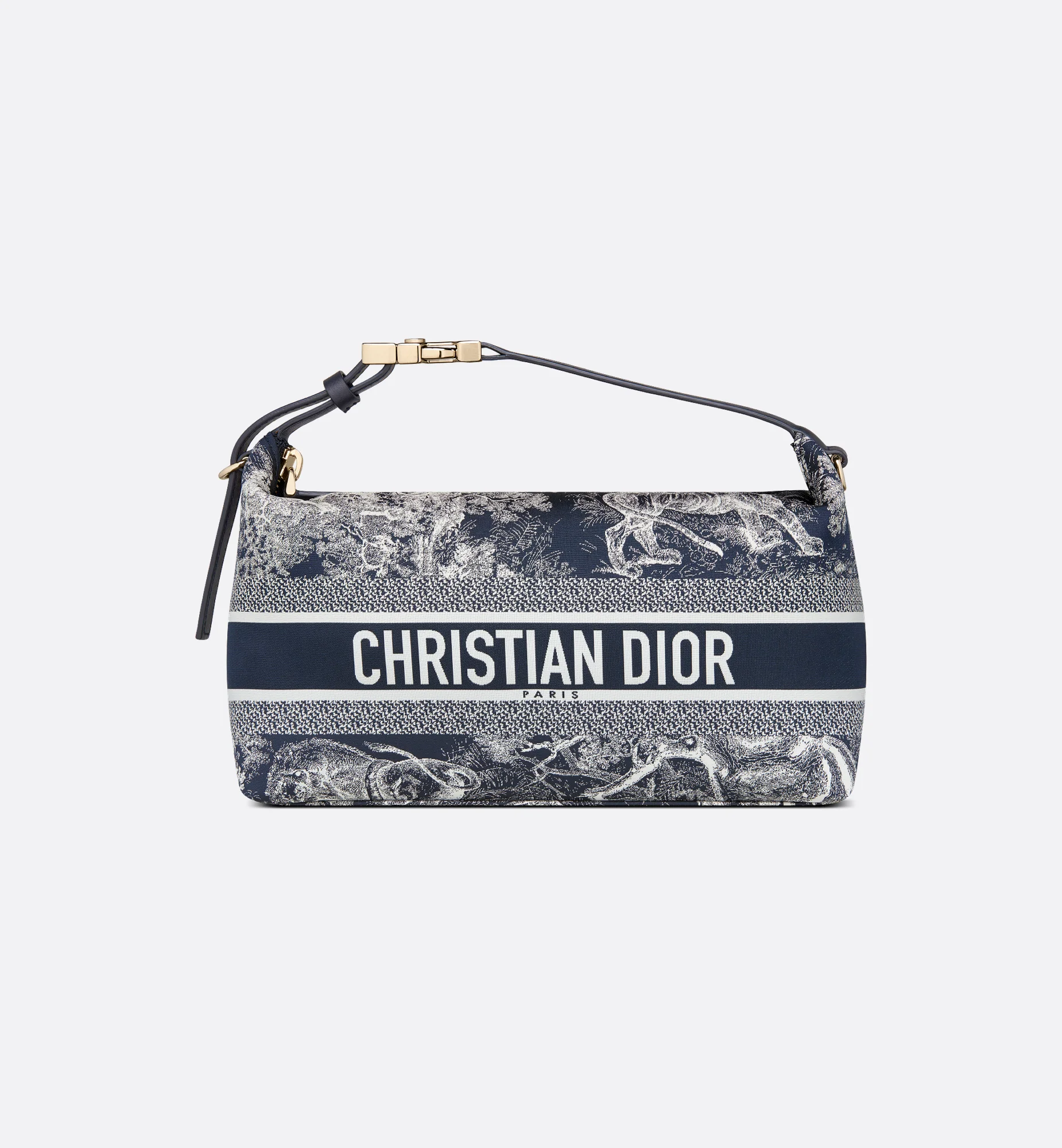 Medium DiorTravel Nomad Pouch - 1