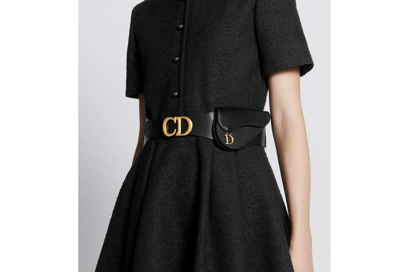 Dior Saddle Pouch Belt outlook
