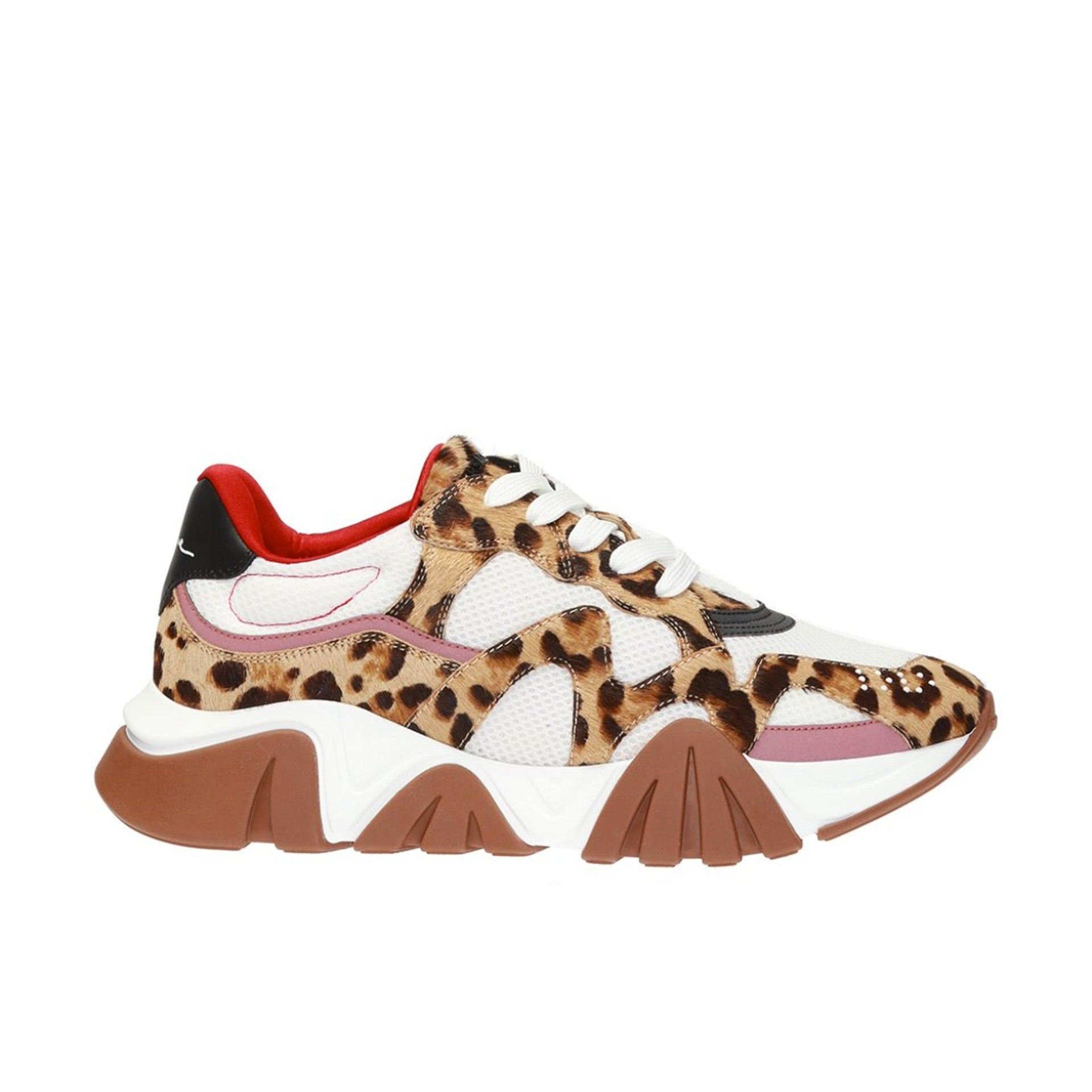 Versace Squalo Leopard Sneakers Men - 1