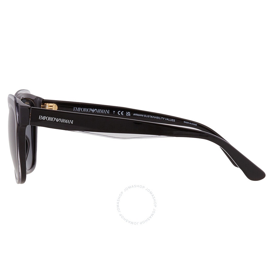 Emporio Armani Dark Grey Square Ladies Sunglasses EA4209 605187 54 - 5