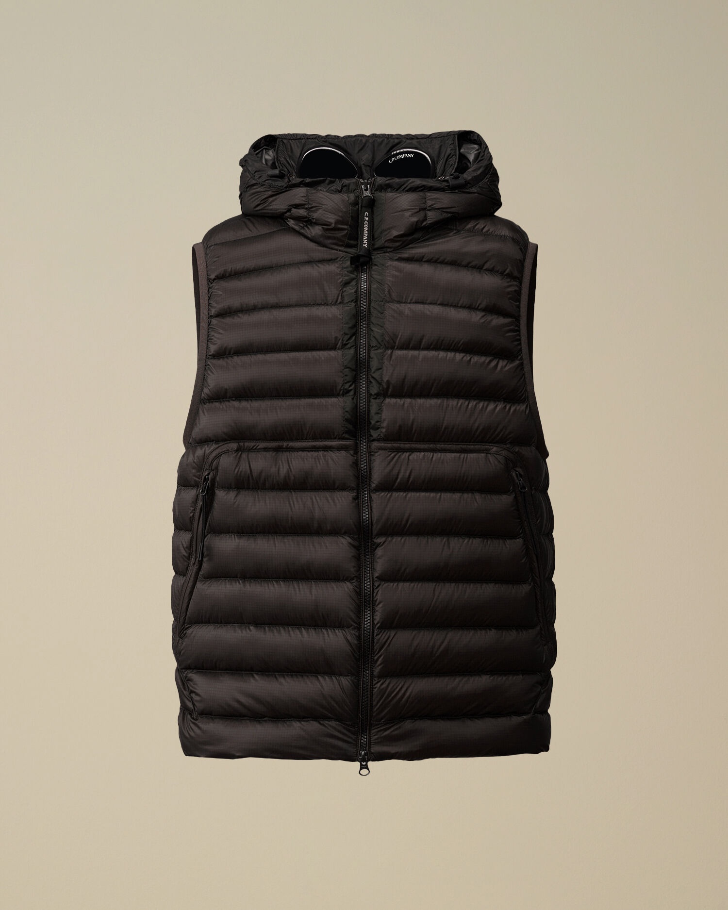 D.D. Shell Goggle Down Vest - 1