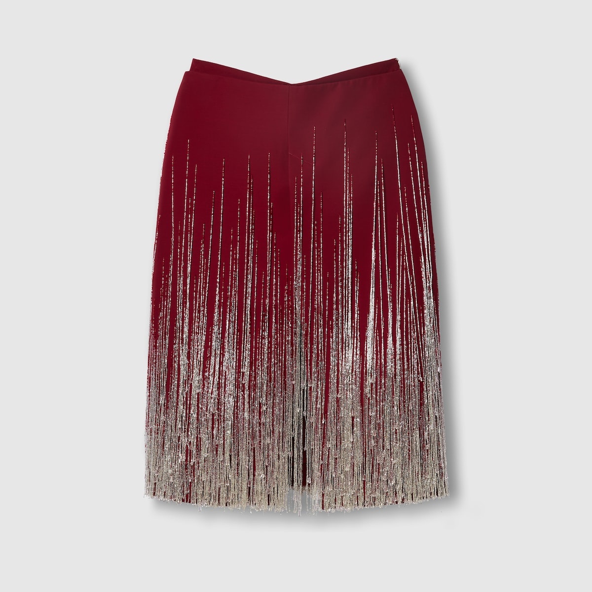 Crystal fringe embroidered skirt - 1