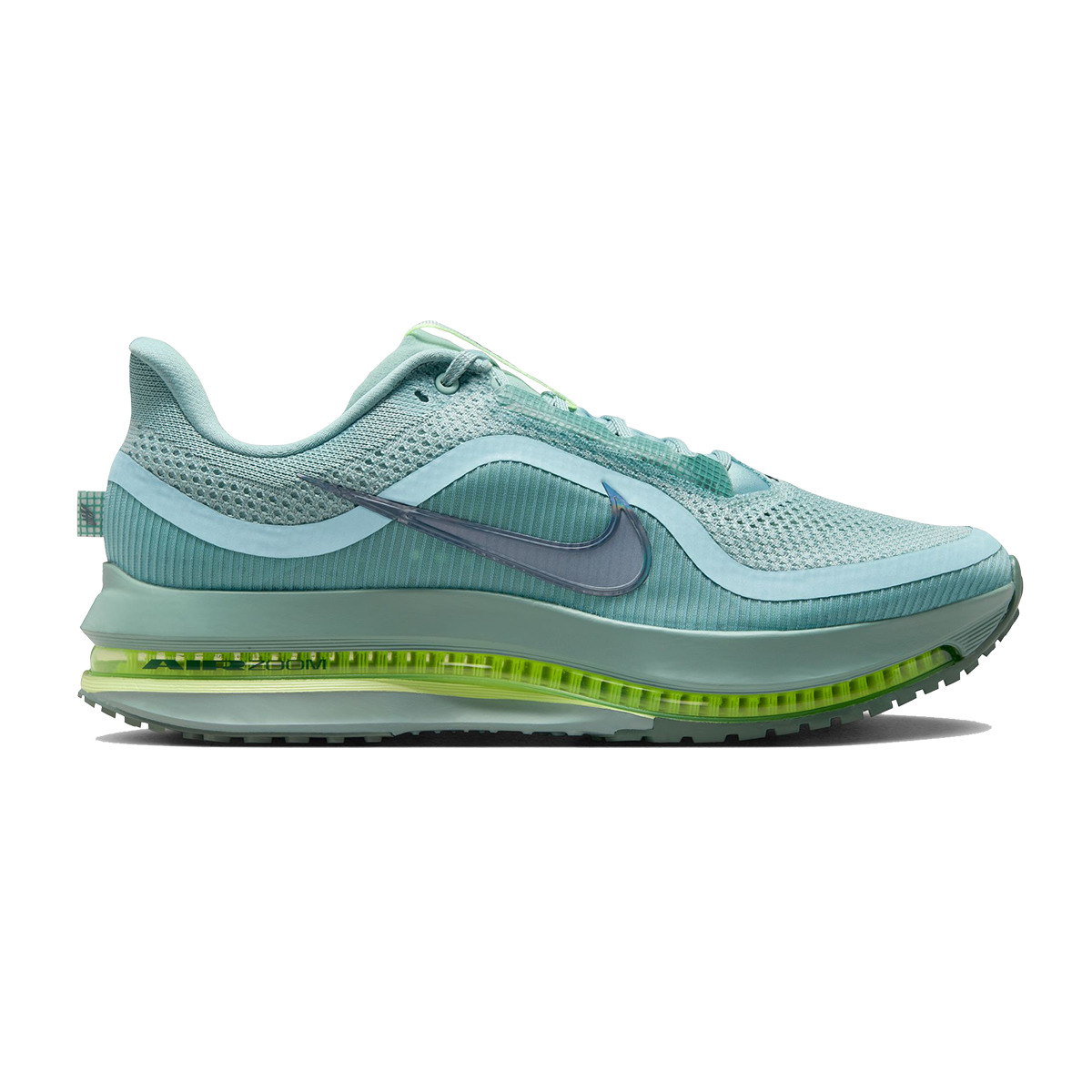Nike Pegasus Premium - 1