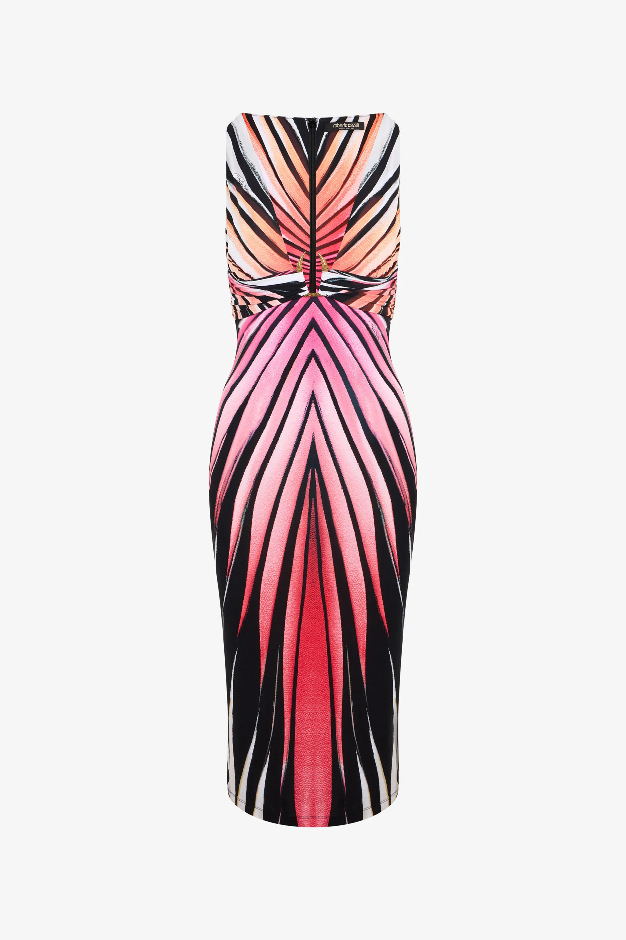 Ray Of Paradise Print Midi Dress - 1