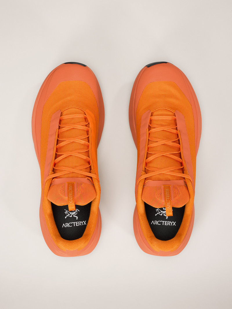 Norvan LD 4 GTX Shoe 3