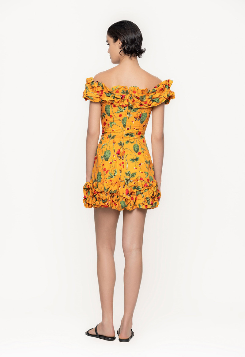 Jardin Frutal Mini Dress 4