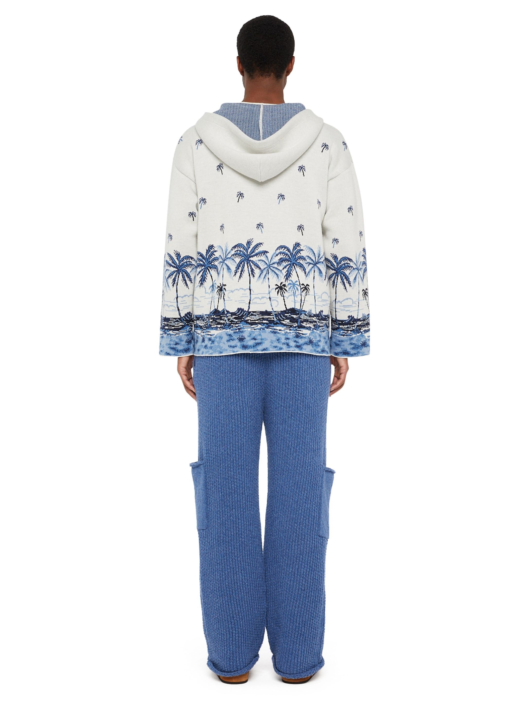The Tale Of A Hawaiian Hoodie - 6