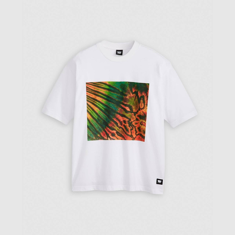 LEVI'S® SKATEBOARDING GRAPHIC BOXY T-SHIRT 1