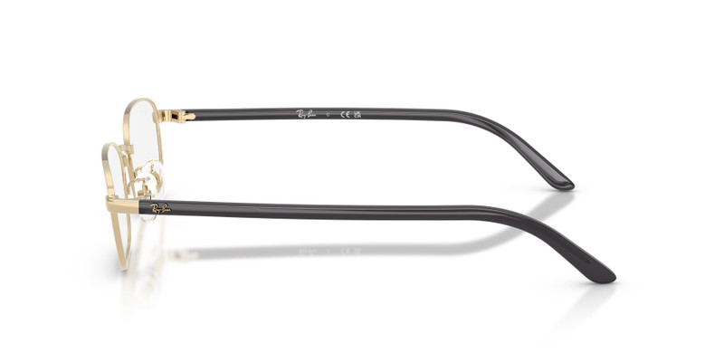 RB6551D OPTICS 5