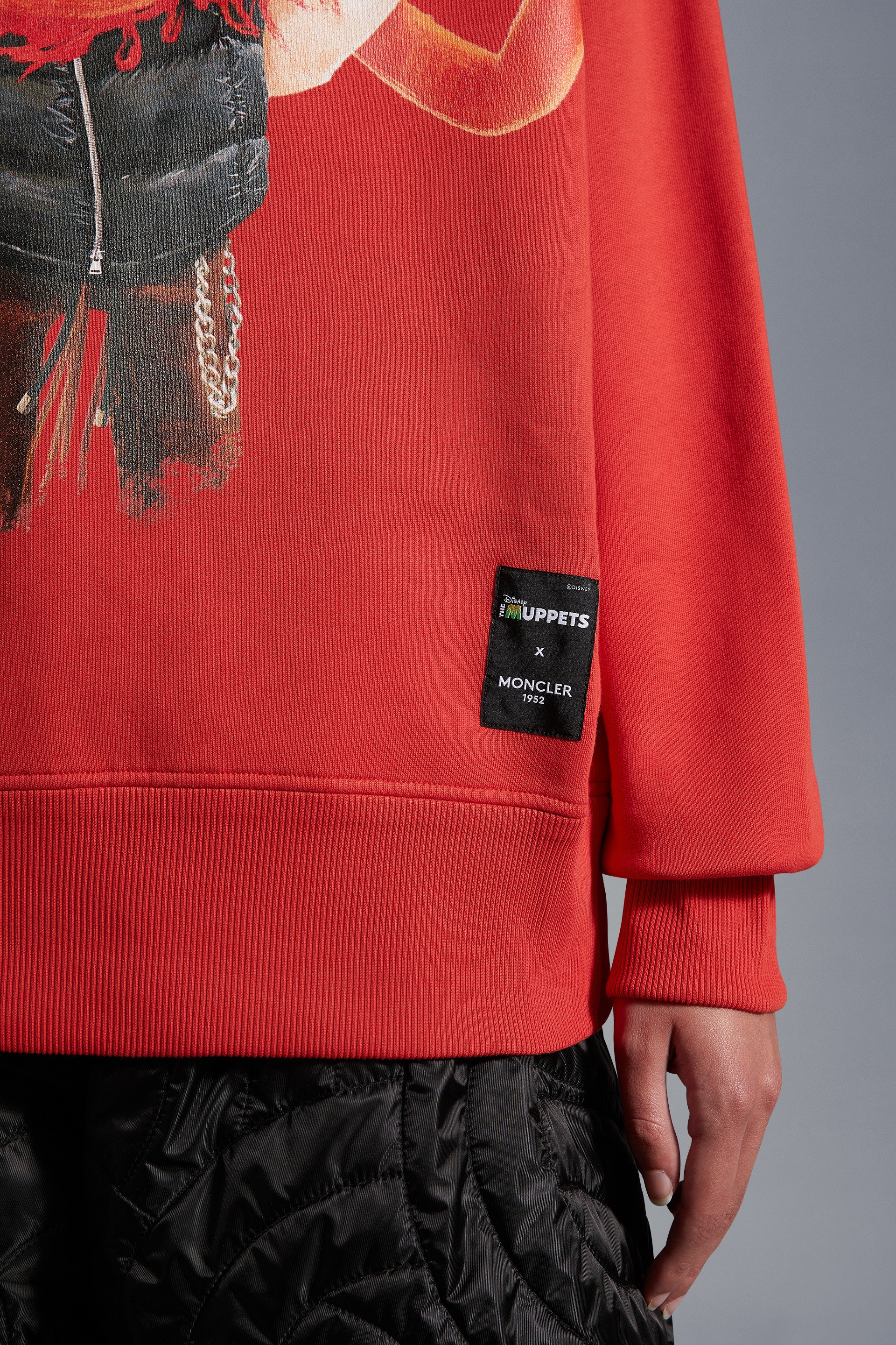 The Muppets Motif Hoodie - 5