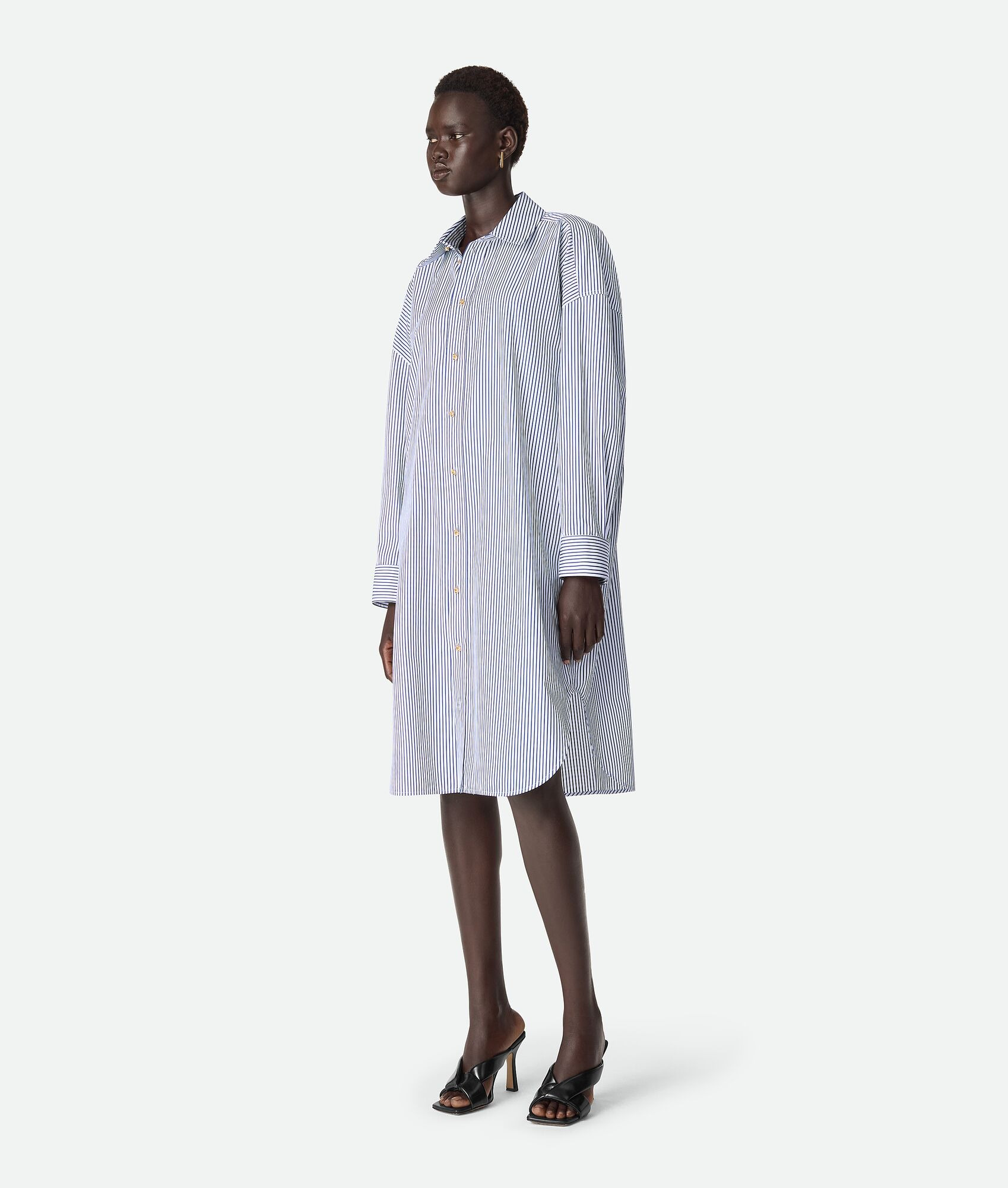 Pinstripe Cotton Poplin Dress - 2