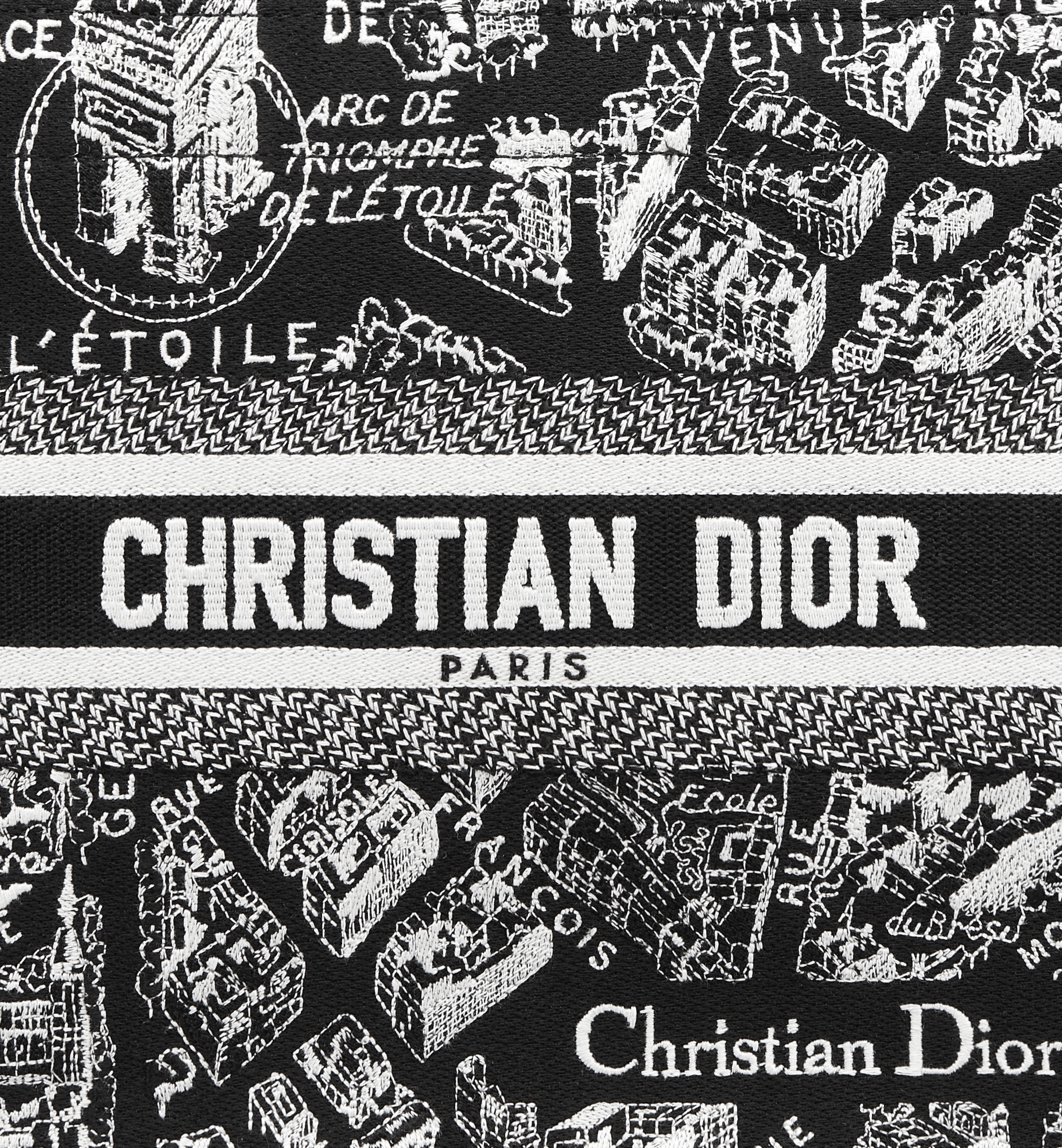 Small Dior Book Tote - 6