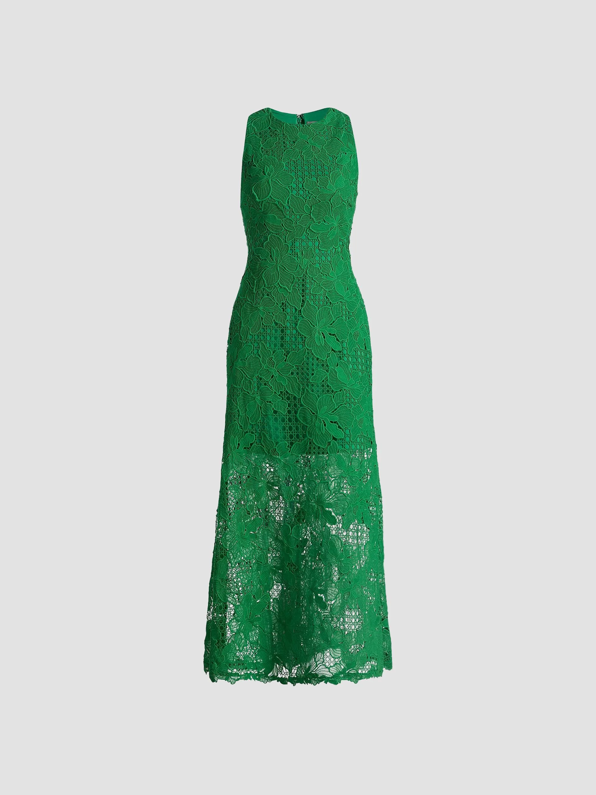 Women's Lattice Guipure Lace Midi-Dress - Fern - 1