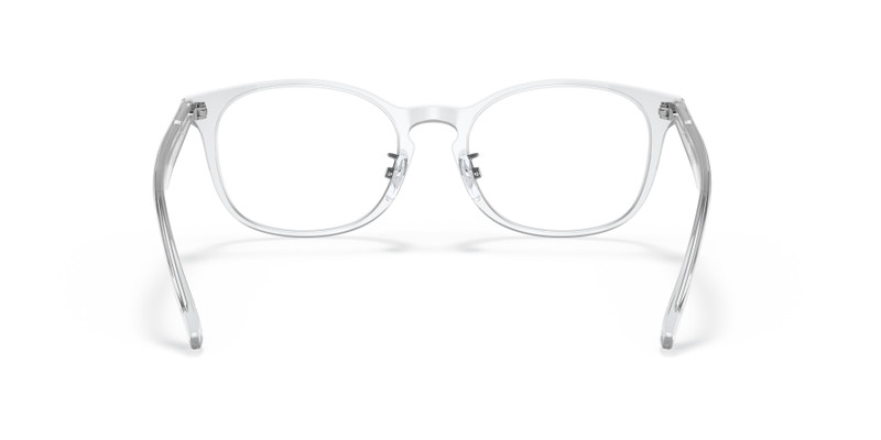 RB5386 OPTICS 6