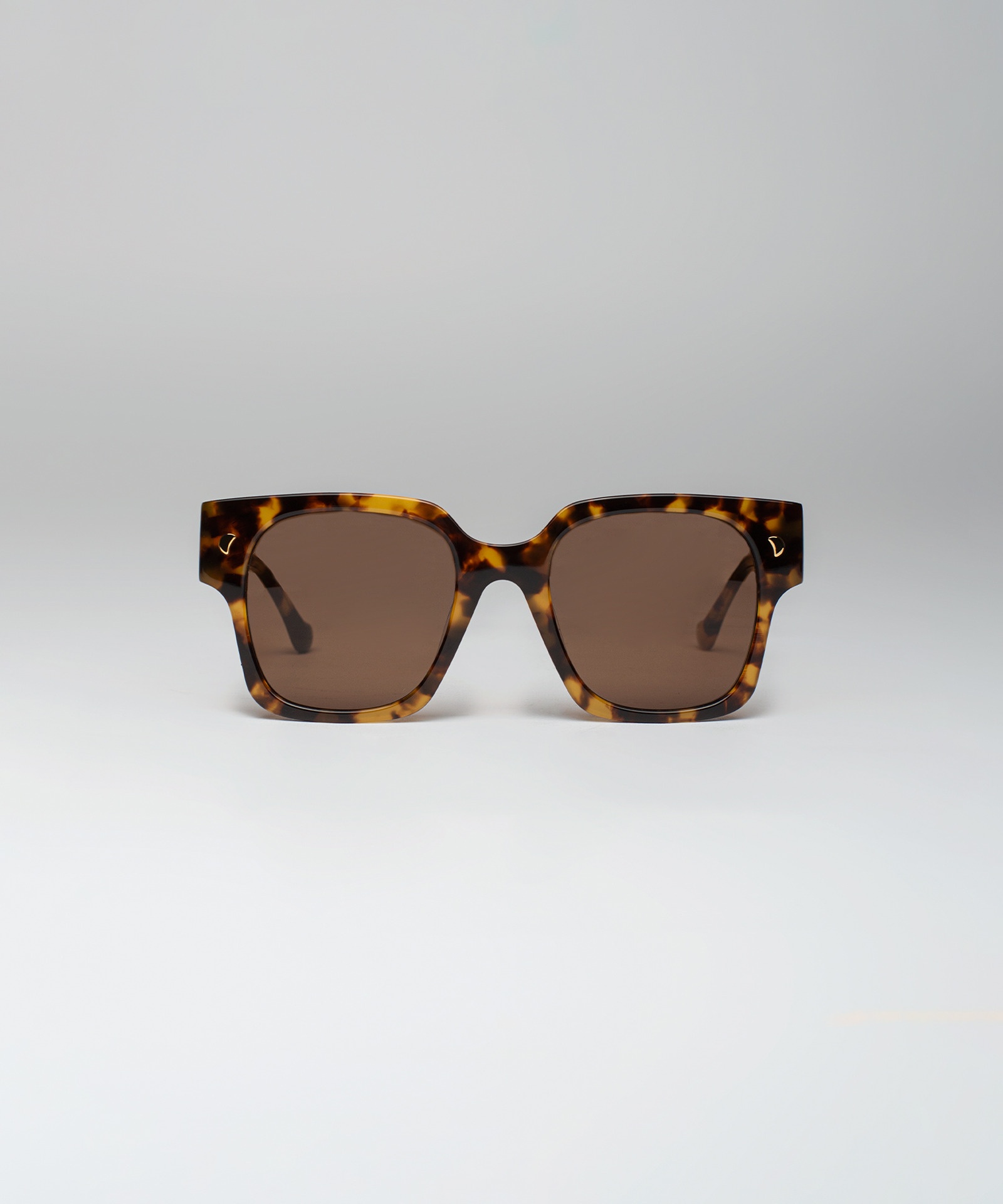 SHAE - Oversized D-frame sunglasses - Tortoiseshell - 1