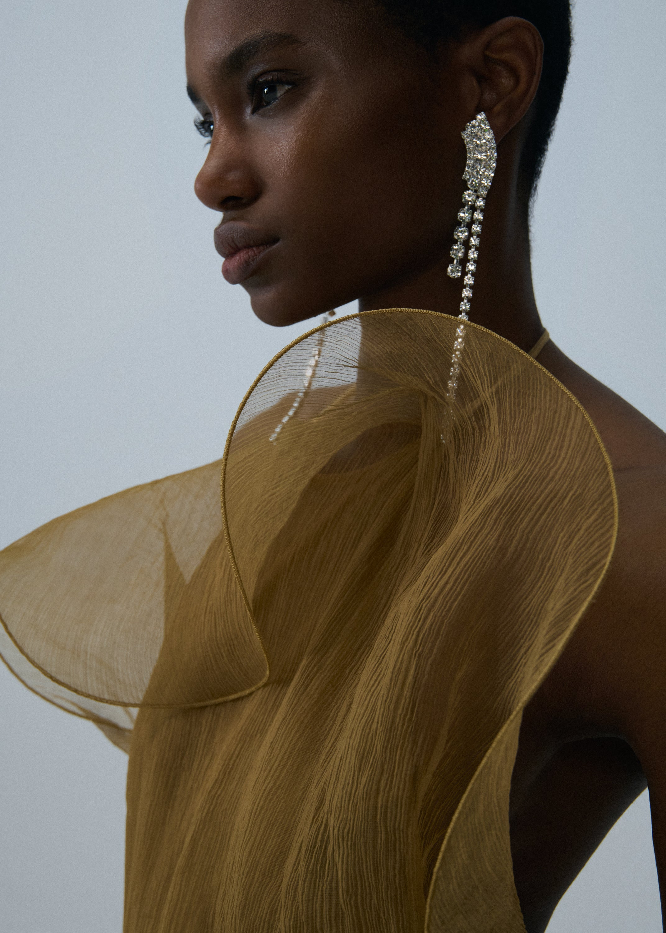 Silk organza gown in beige - 4