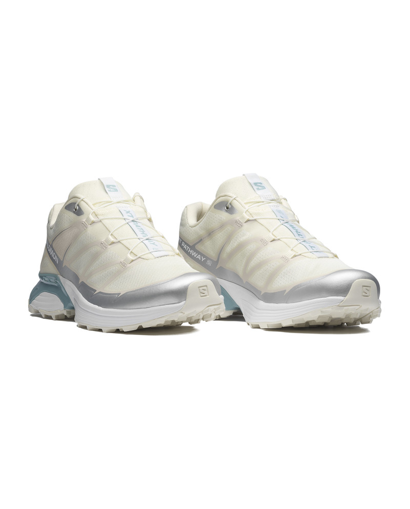 XT-PATHWAY 2 3