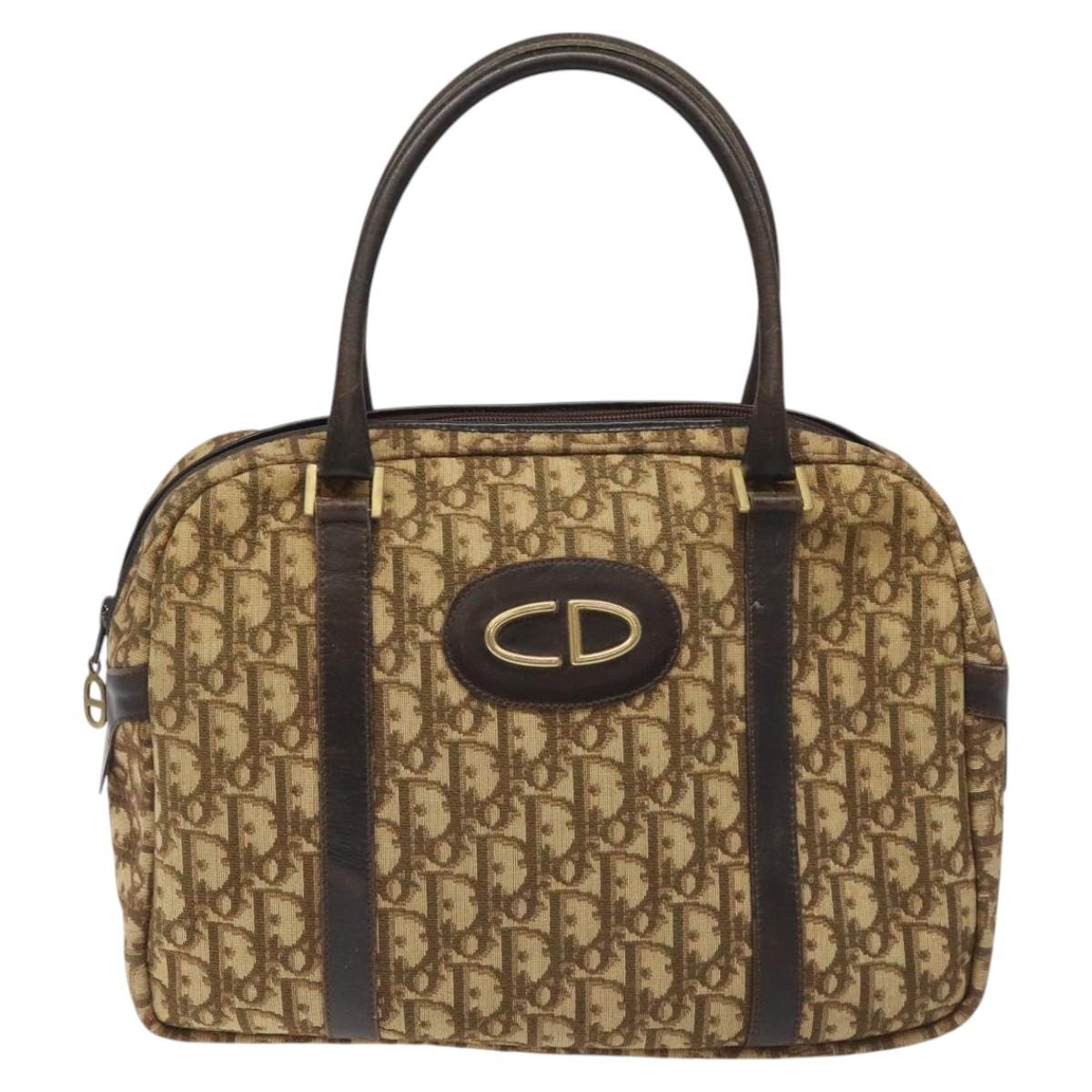 DIOR Trotter Canvas Hand Bag Brown - 13