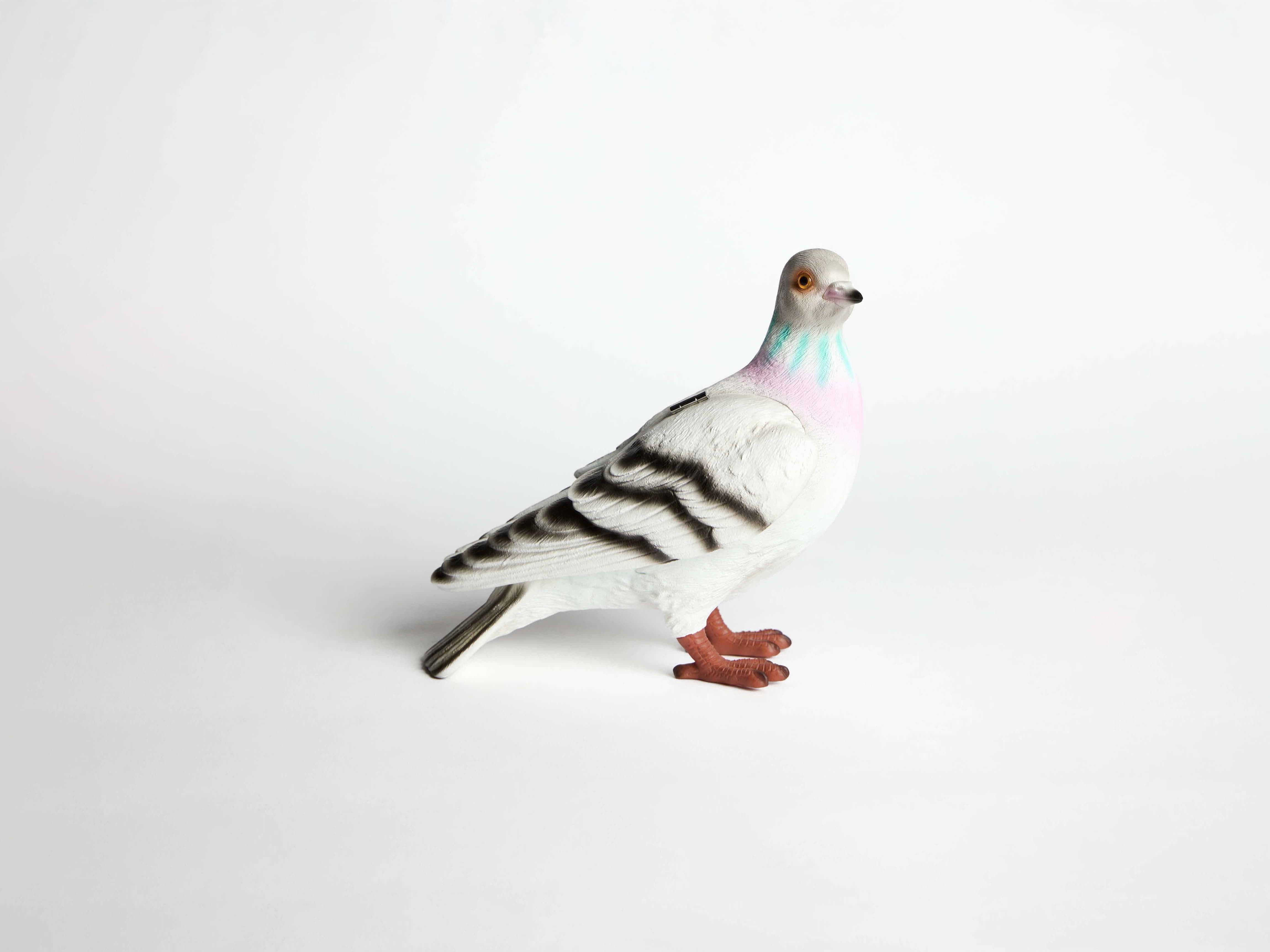 PIGEON CLUTCH IN GREY - 1