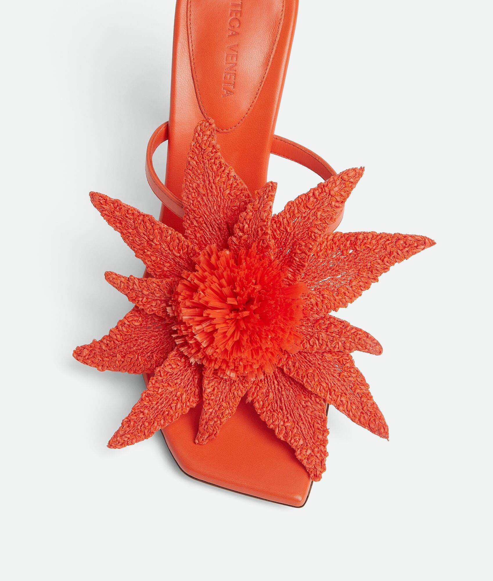 Adam Sandal - 6