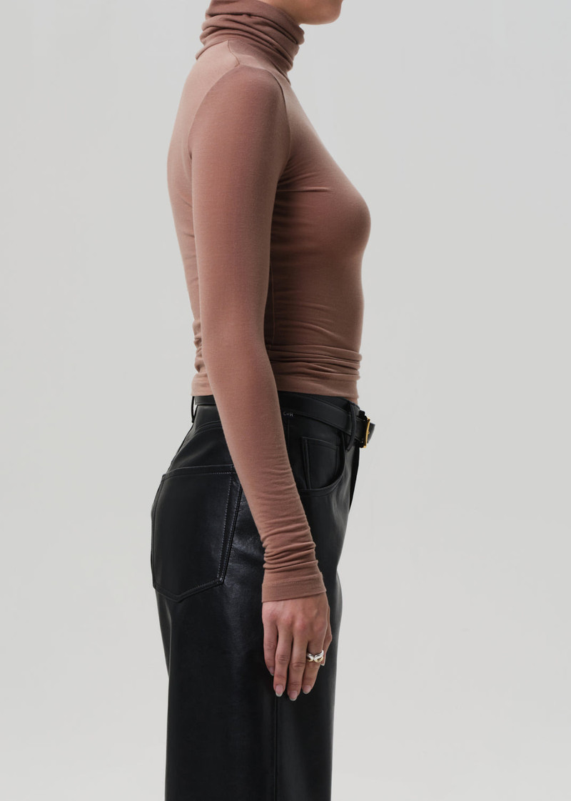 Caradene Turtleneck In Moth 4