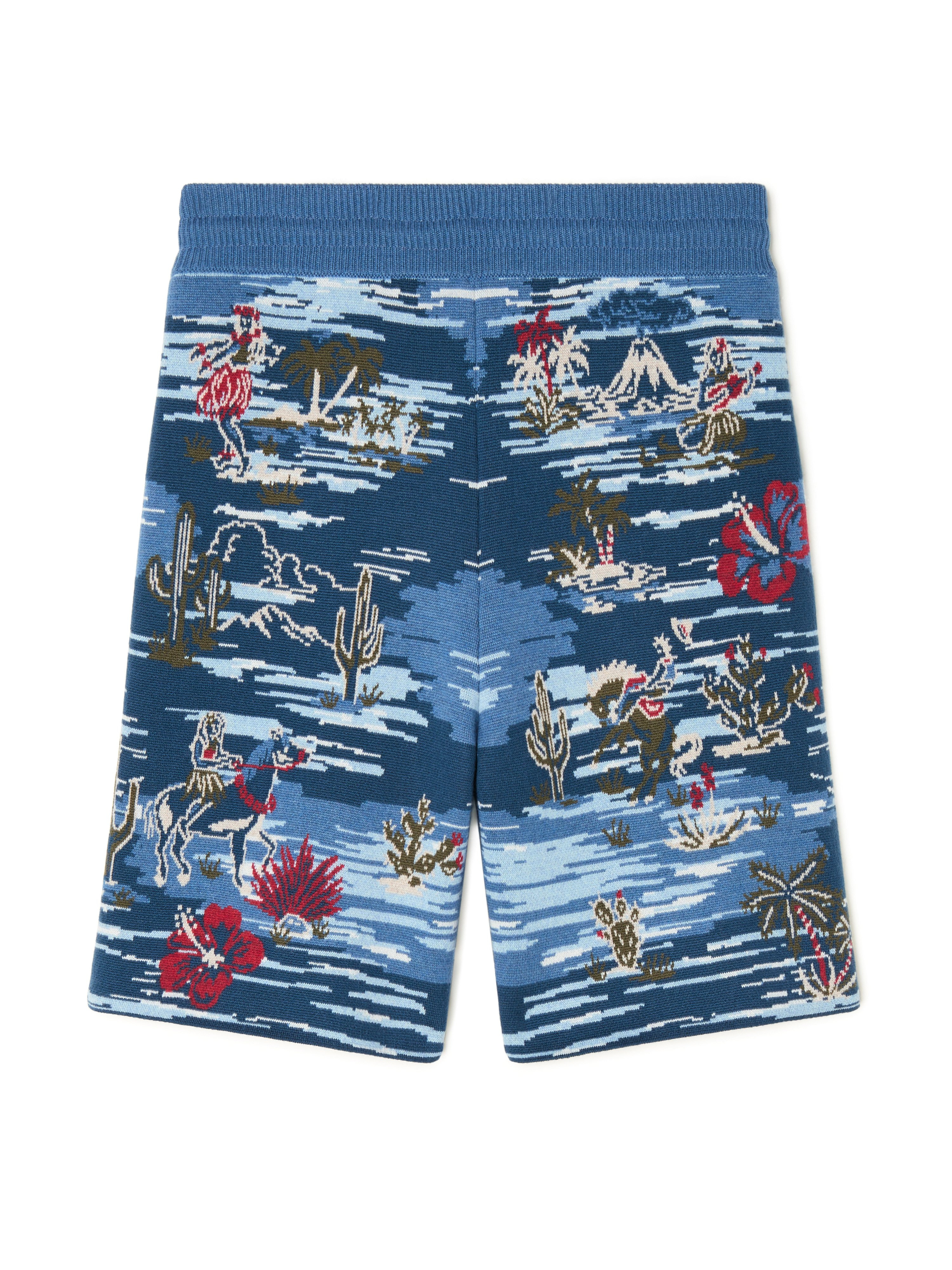 Tex-Hawaii Roundtrip Shorts - 3