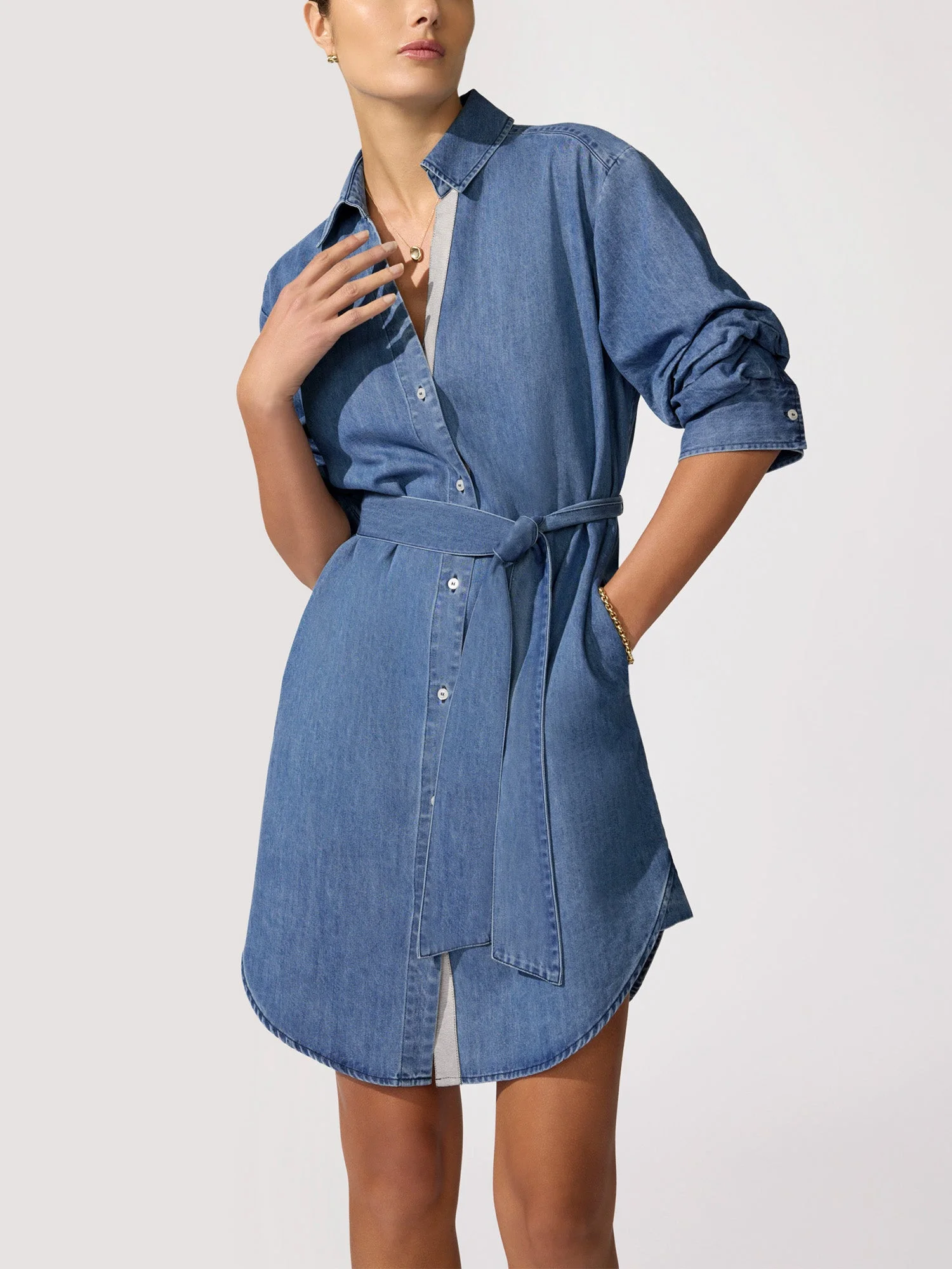The Pia Denim Dress - 1