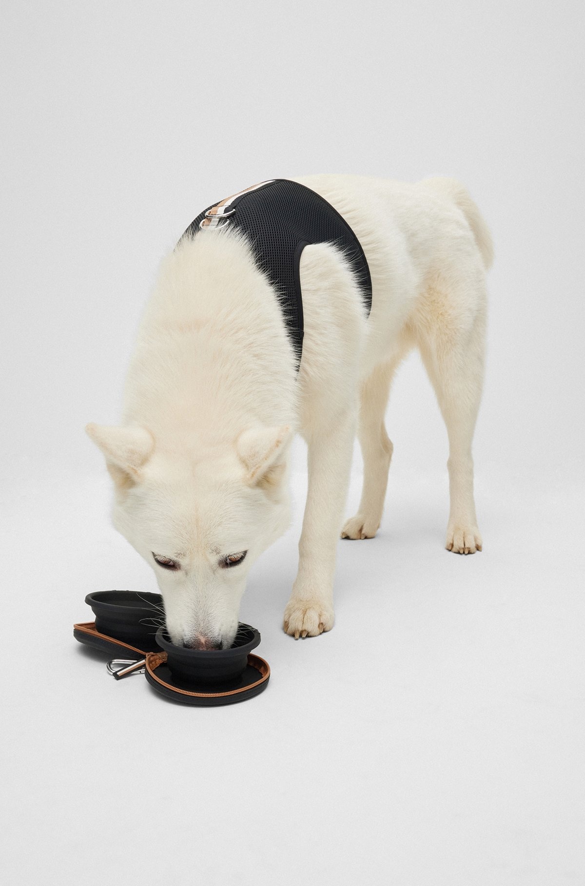 COLLAPSIBLE DOG BOWLS IN SILICONE WITH ZIP-UP CASE - 2