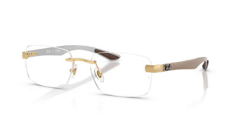 RB8423 OPTICS 1