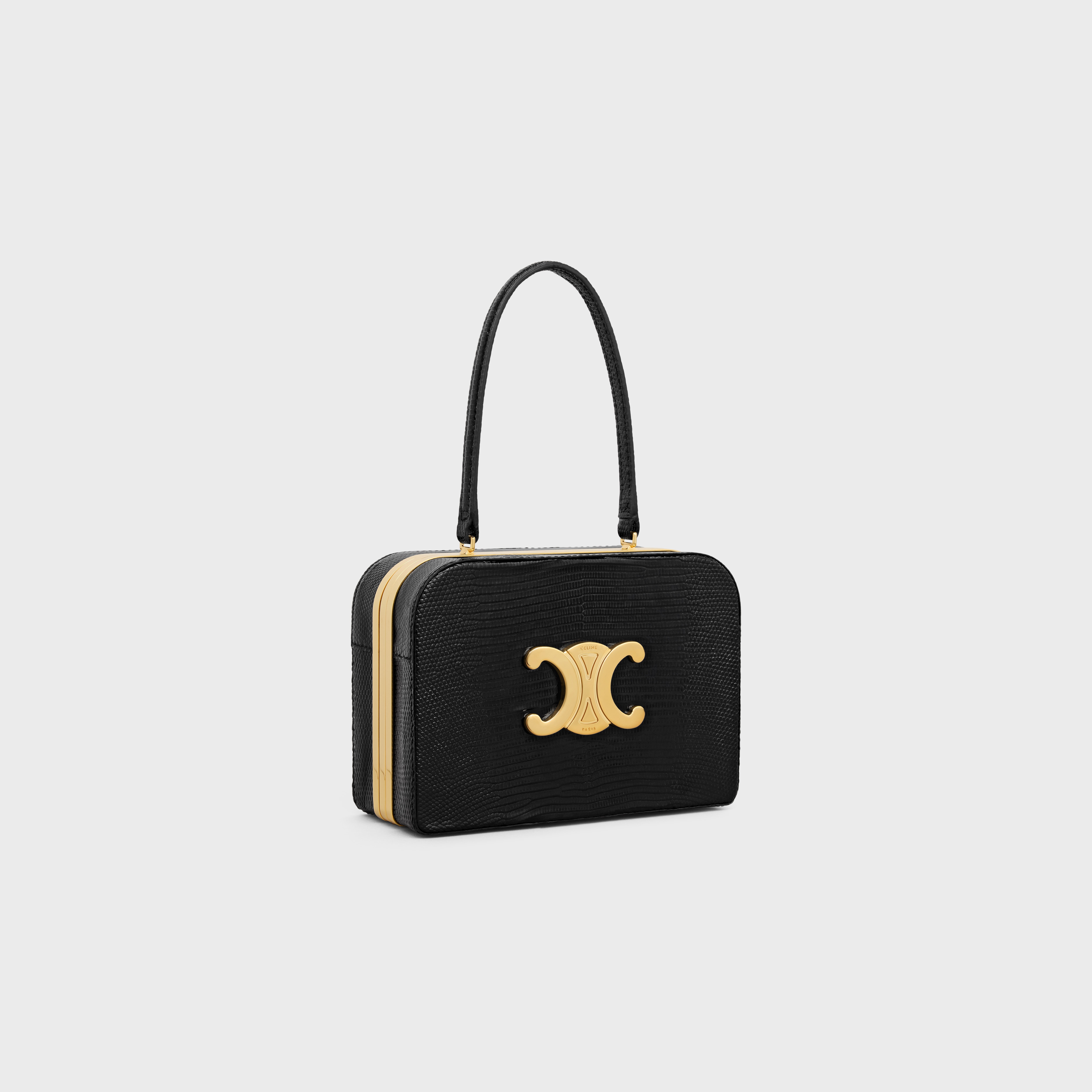 EVENING TRIOMPHE MINAUDIERE in Lizard - 2