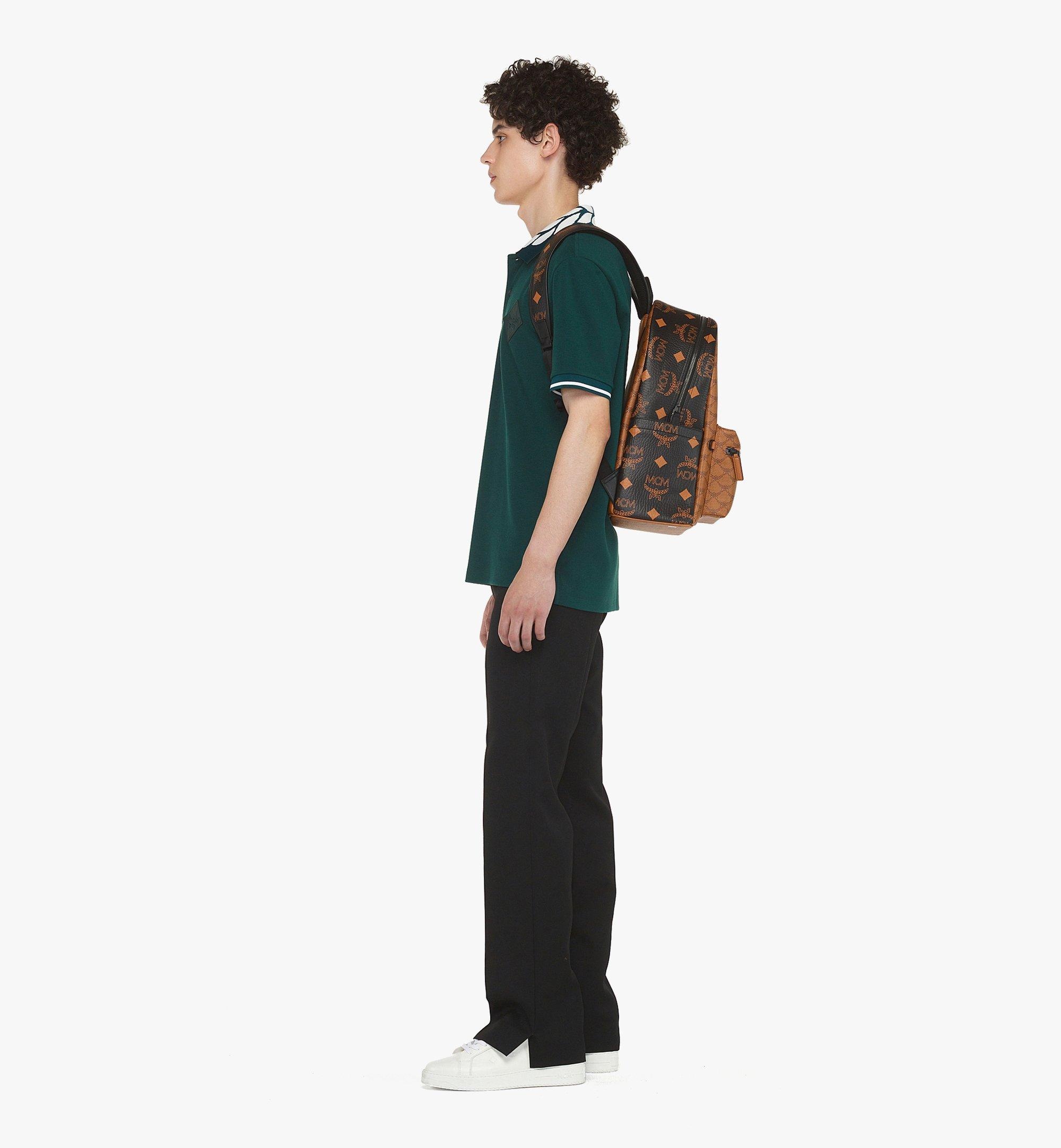 Stark Backpack in Monogram Mix - 6