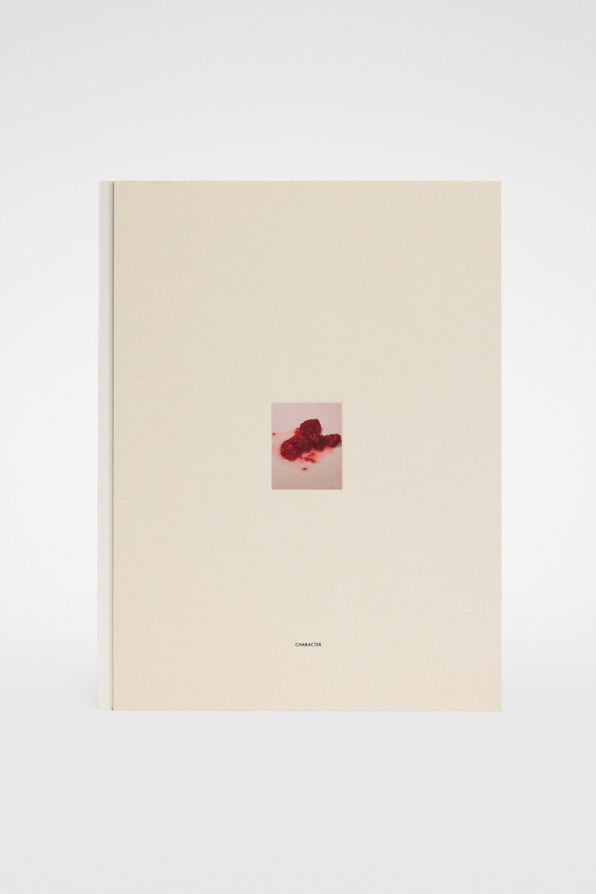 David Sims, Character - 3