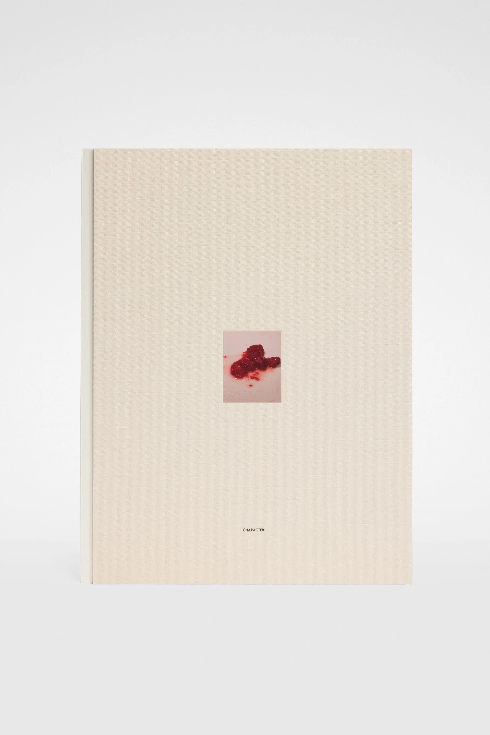 David Sims, Character - 1