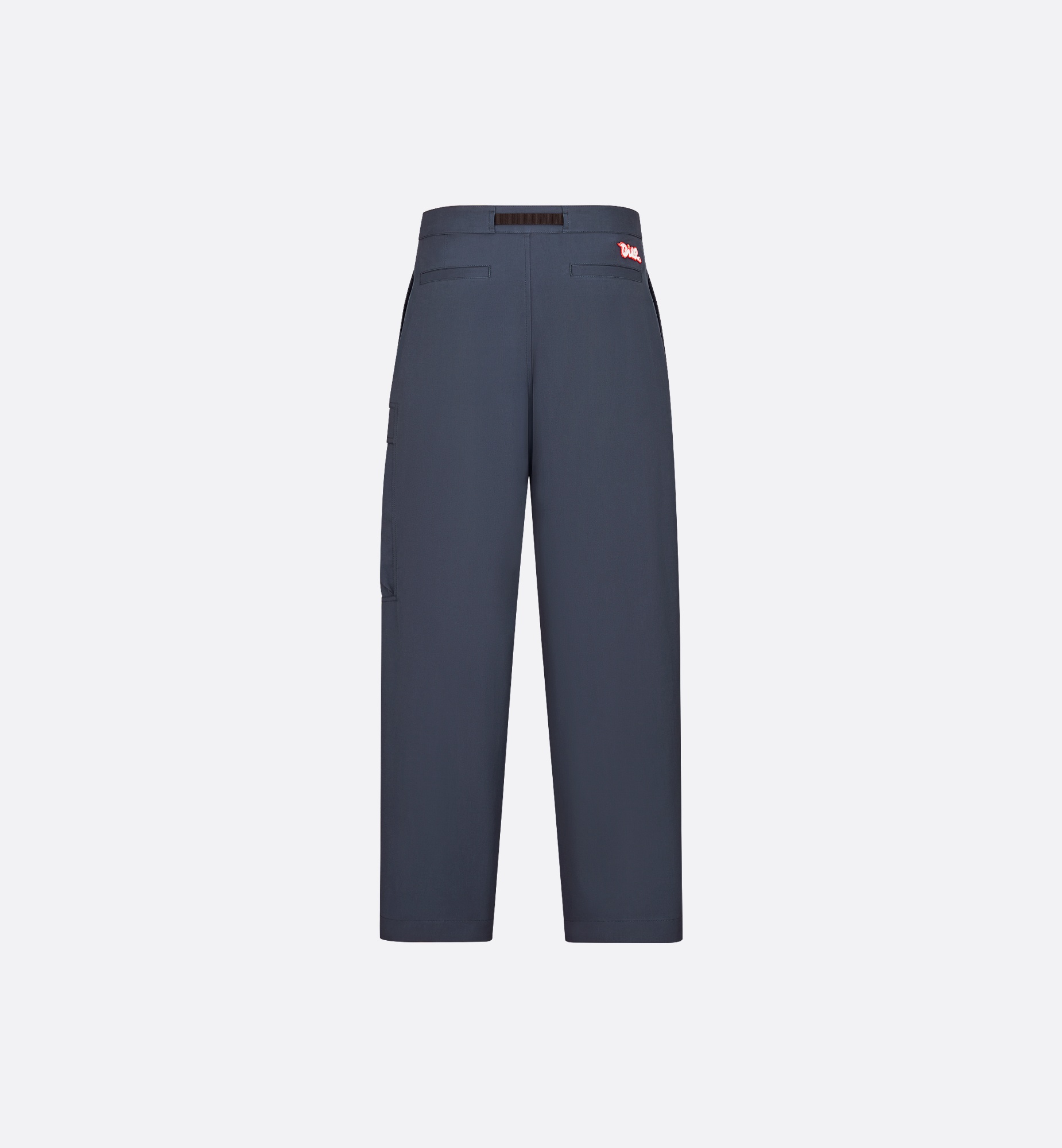 DIOR AND KAWS Cargo Pants - 6