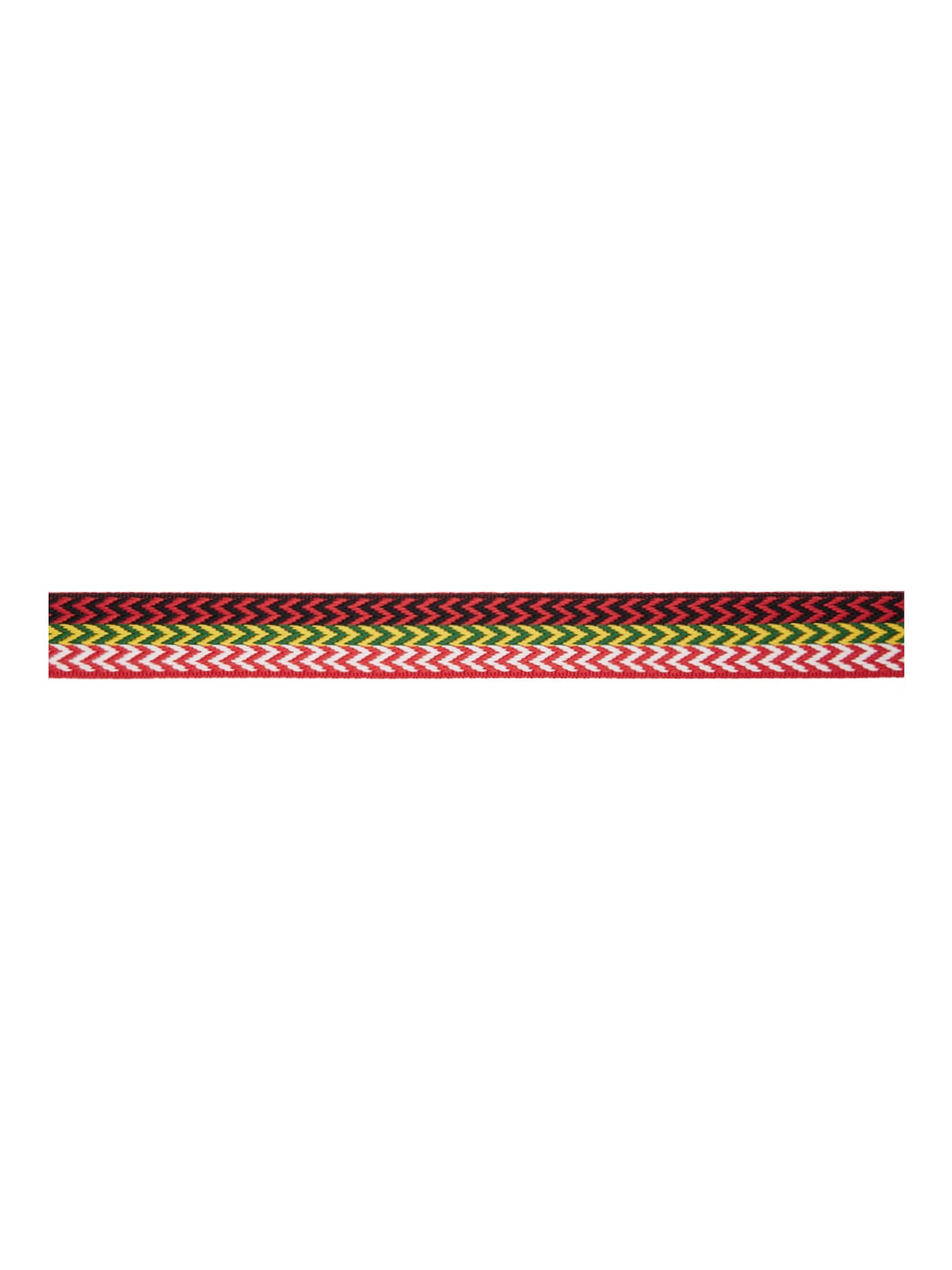 Multicolor Curb Belt - 2