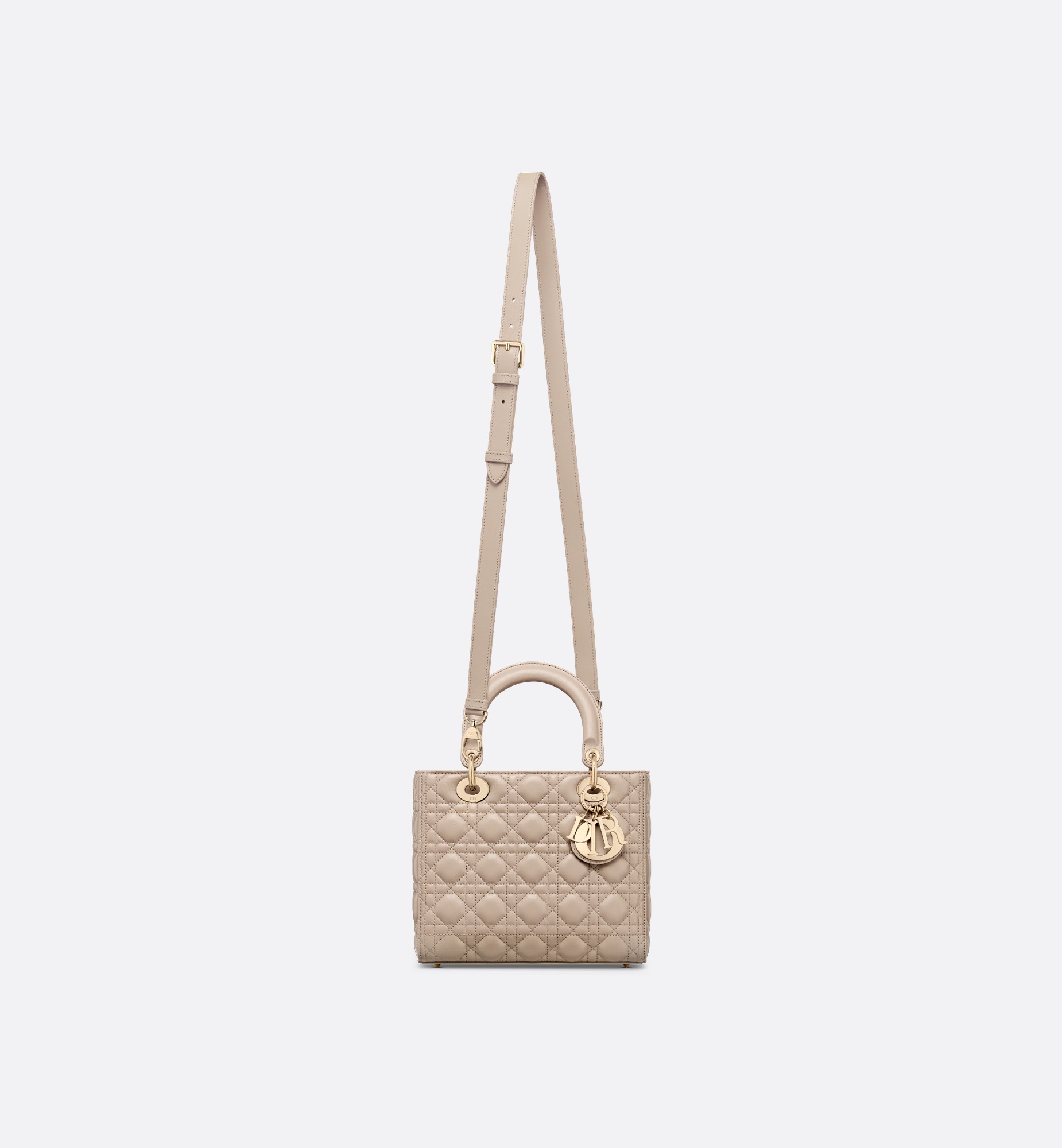 Medium Lady Dior Bag - 5